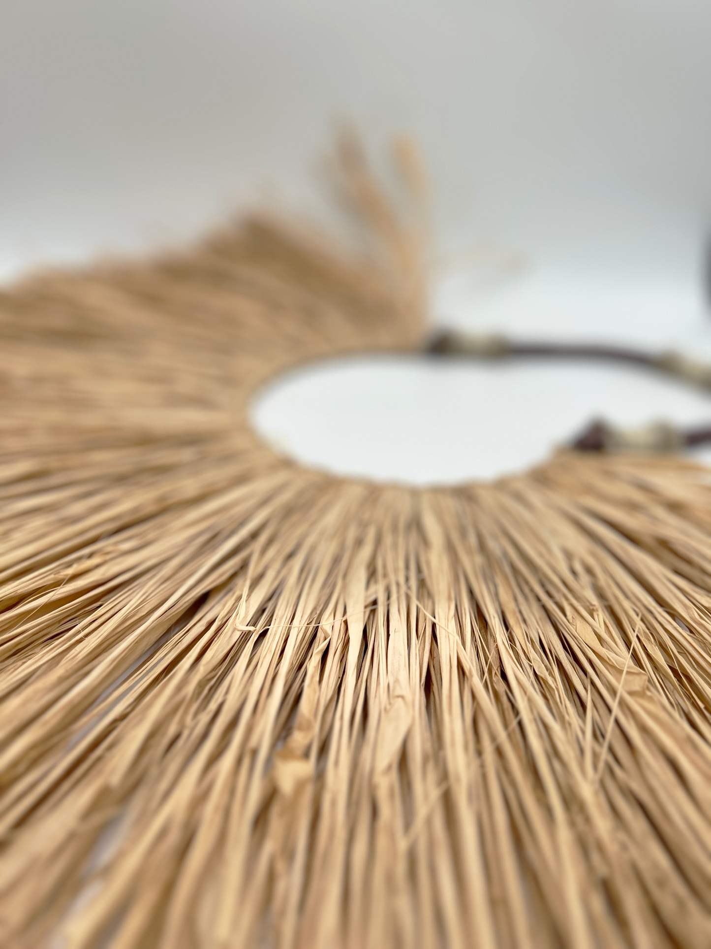 Raffia  Tribal Wall Decor 