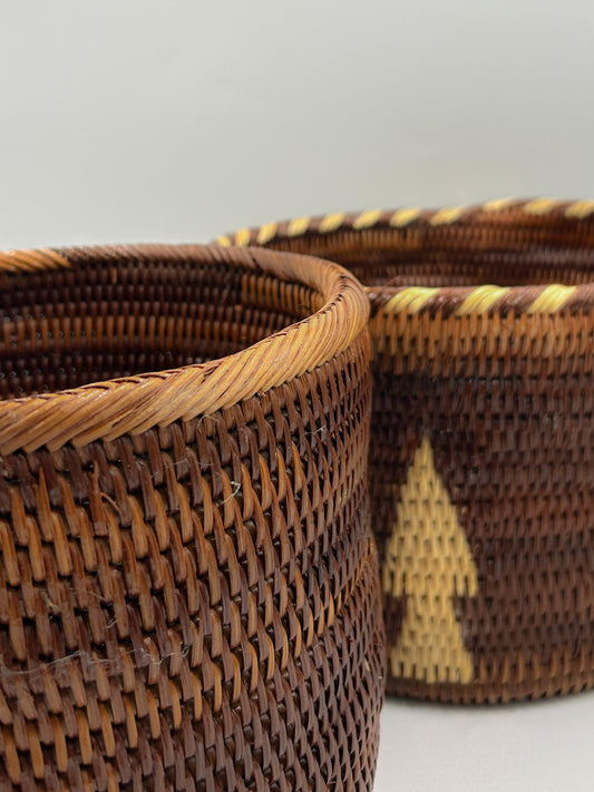 Small Woven Basket Pot